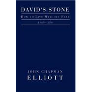 David's Stone - How to Live Without Fear: How to Live Without Fear : A Safety Bible,9781401060503 David's Stone - How to Live Without Fear: How to Live Without Fear : A Safety Bible,9781401060503