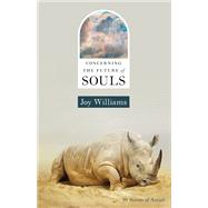 Concerning the Future of Souls,9781959030591 Concerning the Future of Souls,9781959030591