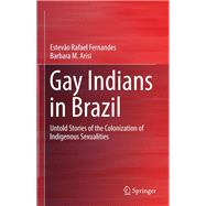 Gay Indians in Brazil,9783319532240 Gay Indians in Brazil,9783319532240