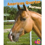 American Quarter Horses,9781429622325 American Quarter Horses,9781429622325