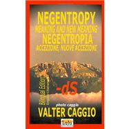 Negentropy Meaning and New Meaning / Negentropia Accezione, Nuove Accezioni,9781847532558 Negentropy Meaning and New Meaning / Negentropia Accezione, Nuove Accezioni,9781847532558