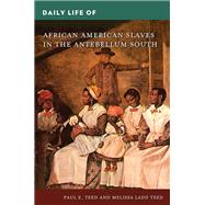 Daily Life of African American Slaves in the Antebellum South,9781440863240 Daily Life of African American Slaves in the Antebellum South,9781440863240