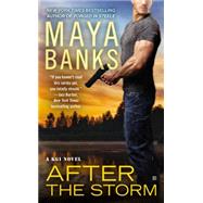 After the Storm,9780425263778 After the Storm,9780425263778