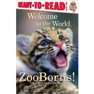 Welcome to the World, Zooborns! Ready-to-Read Level 1,9781442443778 Welcome to the World, Zooborns! Ready-to-Read Level 1,9781442443778