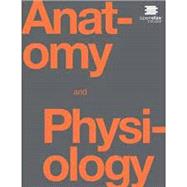 Anatomy and Physiology 2e (Color)
