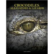 Crocodiles, Alligators & Lizards From Black Caimans to Komodo Dragons,9781838864286 Crocodiles, Alligators & Lizards From Black Caimans to Komodo Dragons,9781838864286