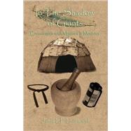 In the Shadows of Giants,9780741434418 In the Shadows of Giants,9780741434418