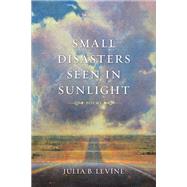 Small Disasters Seen in Sunlight,9780807154557 Small Disasters Seen in Sunlight,9780807154557