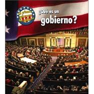 Que Es Un Gobierno?/ What's Government?,9781432904715 Que Es Un Gobierno?/ What's Government?,9781432904715