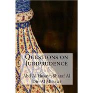 Questions on Juriprudence,9781502506160 Questions on Juriprudence,9781502506160