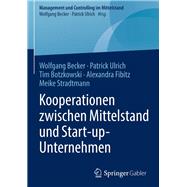 Kooperationen zwischen Mittelstand und Start-up-Unternehmen,9783658196462 Kooperationen zwischen Mittelstand und Start-up-Unternehmen,9783658196462