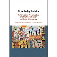 Non-policy Politics,9781108497008 Non-policy Politics,9781108497008