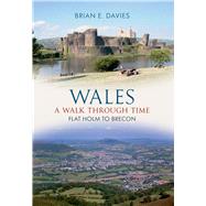 Wales A Walk Through Time - Flat Holm to Brecon,9781848687073 Wales A Walk Through Time - Flat Holm to Brecon,9781848687073