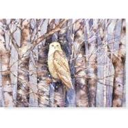 Snowy Owl Deluxeholiday Cards,9781441307408 Snowy Owl Deluxeholiday Cards,9781441307408