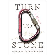 Turn to Stone A Memoir,9781668047859 Turn to Stone A Memoir,9781668047859