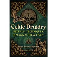 Celtic Druidry,9781644118603 Celtic Druidry,9781644118603