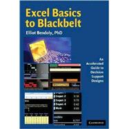 Excel Basics to Blackbelt: An Accelerated Guide to Decision Support Designs,9780521889056 Excel Basics to Blackbelt: An Accelerated Guide to Decision Support Designs,9780521889056