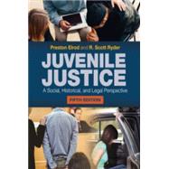 Juvenile Justice: A Social, Historical, and Legal Perspective, 5th Edition,9781284219418 Juvenile Justice: A Social, Historical, and Legal Perspective, 5th Edition,9781284219418