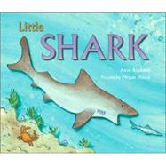 Little Shark,9780802789556 Little Shark,9780802789556