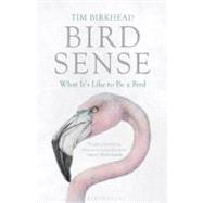 Bird Sense What It's Like to Be a Bird,9780802779663 Bird Sense What It's Like to Be a Bird,9780802779663
