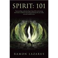 Spirit: 101,9798765249802 Spirit: 101,9798765249802