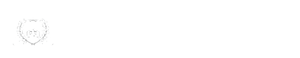 Logo of St. Brendan High School