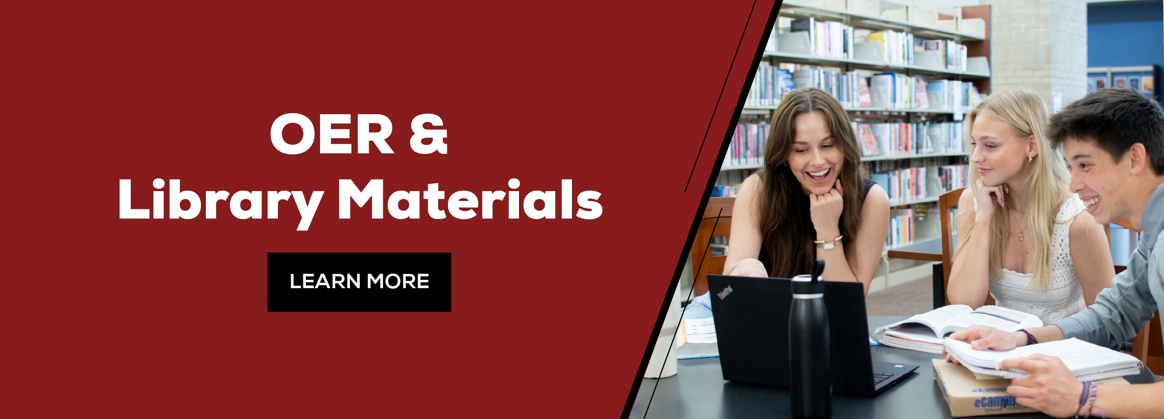OER & LIBRARY MATERIALS. LEARN MORE (new tab)