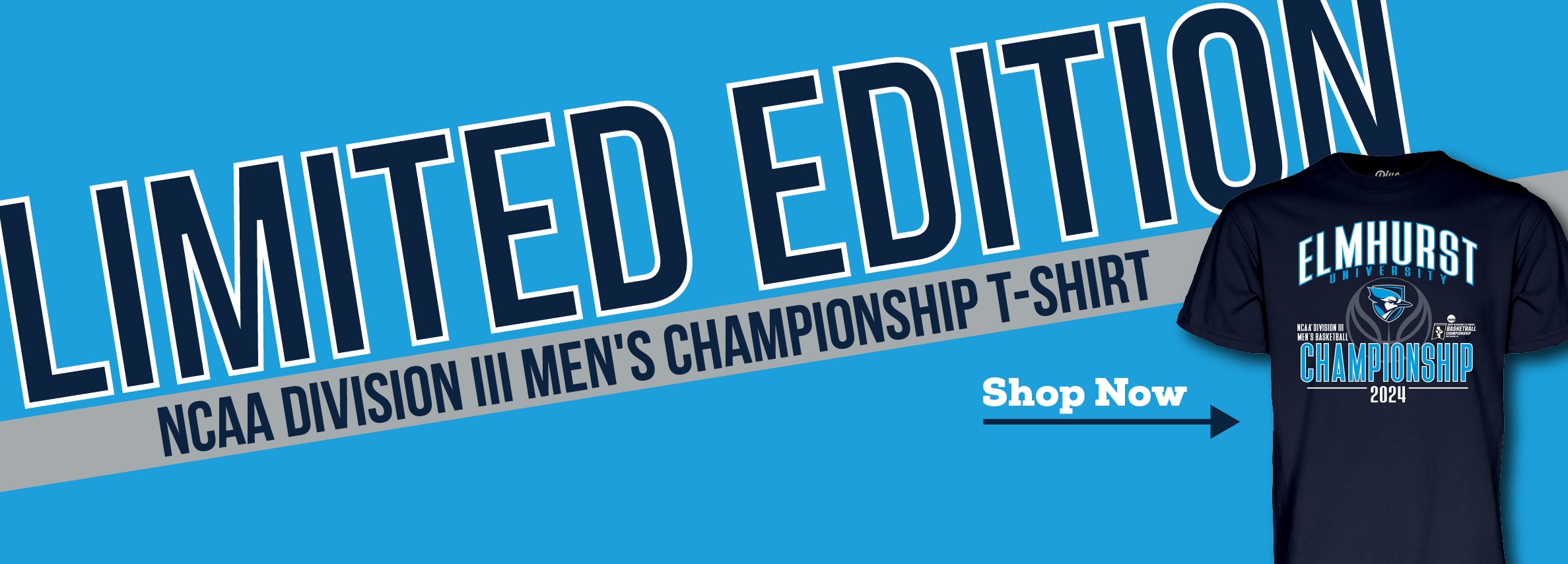 Limited Edition NCAA Division III Men's Basketball Championship T-shirt. Shop Now