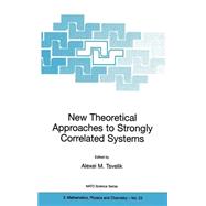 New Theoretical Approaches to Strongly Correlated Systems