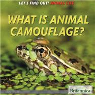 What is Animal Camouflage?