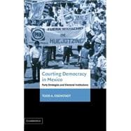 Courting Democracy in Mexico: Party Strategies and Electoral Institutions