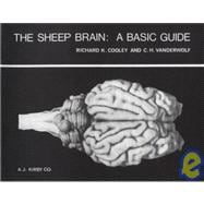 The Sheep Brain: A Basic Guide