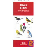 Iowa Birds: An Introduction to Familiar Species