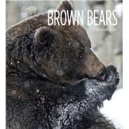 Living Wild: Brown Bears