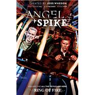 Angel & Spike Vol. 1