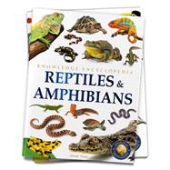 Animals: Reptiles and Amphibians