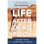 Life After Dead Pool