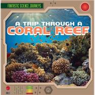 A Trip Through a Coral Reef