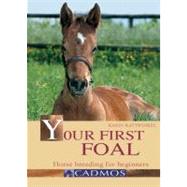 Your First Foal Horse Breeding for Beginners