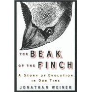 BEAK OF THE FINCH