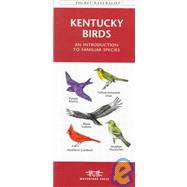 Kentucky Birds: An Introduction to Familiar Species