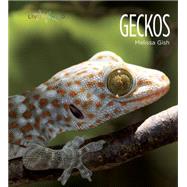 Living Wild: Geckos