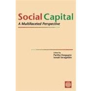 Social Capital: A Multifaceted Perspective