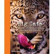 Big Cats In Search of Lions, Leopards, Cheetahs, and Tigers