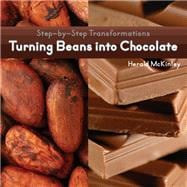Turning Beans into Chocolate,9781627130042