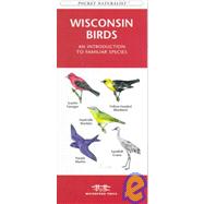 Wisconsin Birds: An Introduction to Familiar Species