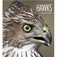 Living Wild: Hawks