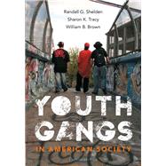 Youth Gangs in American Society