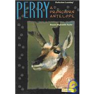 Perry: A Pronghorn Antelope