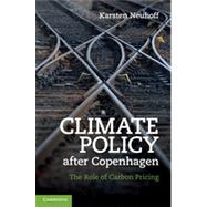 Climate Policy after Copenhagen